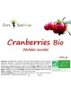 cranberries-bio-sechees-sucrees-250-gr