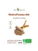 Muira Puama - 120 gélules de 400mg
