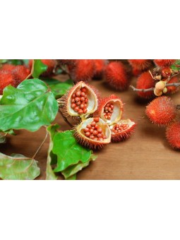 450gr - Poudre de Graines Urucum Biologique -  Roucou