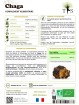 Chaga Bio - 90 gélules de 400mg