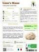 Lion's Mane Bio - 50 gr de poudre