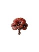 Reishi Bio - 90 gélules de 400mg