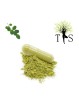 Moringa Biologique - 120 gélules de 400mg