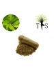 Maté Biologique - 120 gélules de 400mg