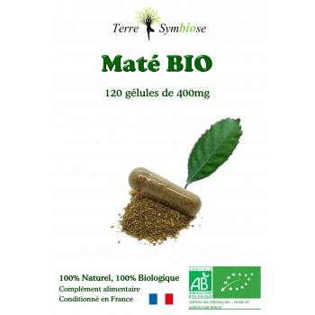 Maté Biologique - 120...