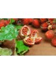 Urucum Biologique - 60gr de poudre