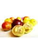 50 gr - Poudre de Camu Camu Biologique