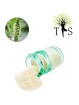 Poudre de Téguments Psyllium Biologique - 1kg