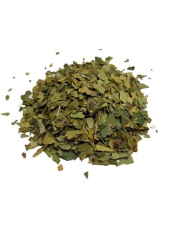 2,5 kg - Maté Biologique