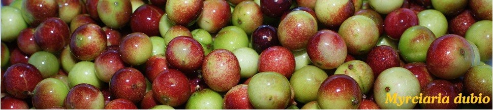 Camu Camu Bio - Vit. C
