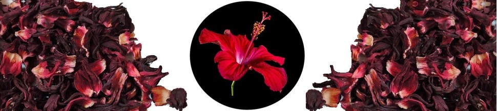 Fleurs d'Hibiscus Bio