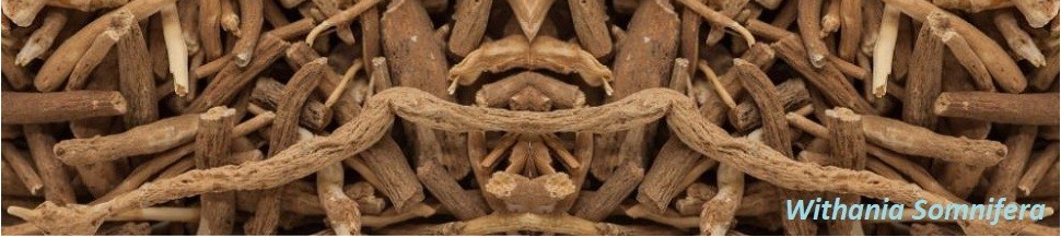 Ashwagandha