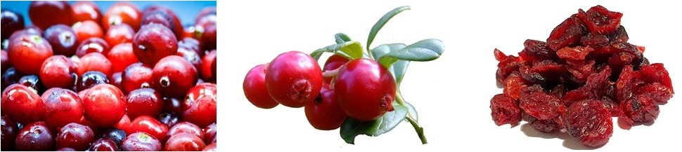Cranberries Bio