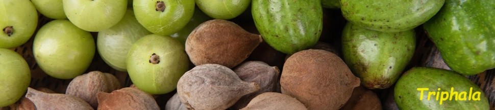 Triphala Bio